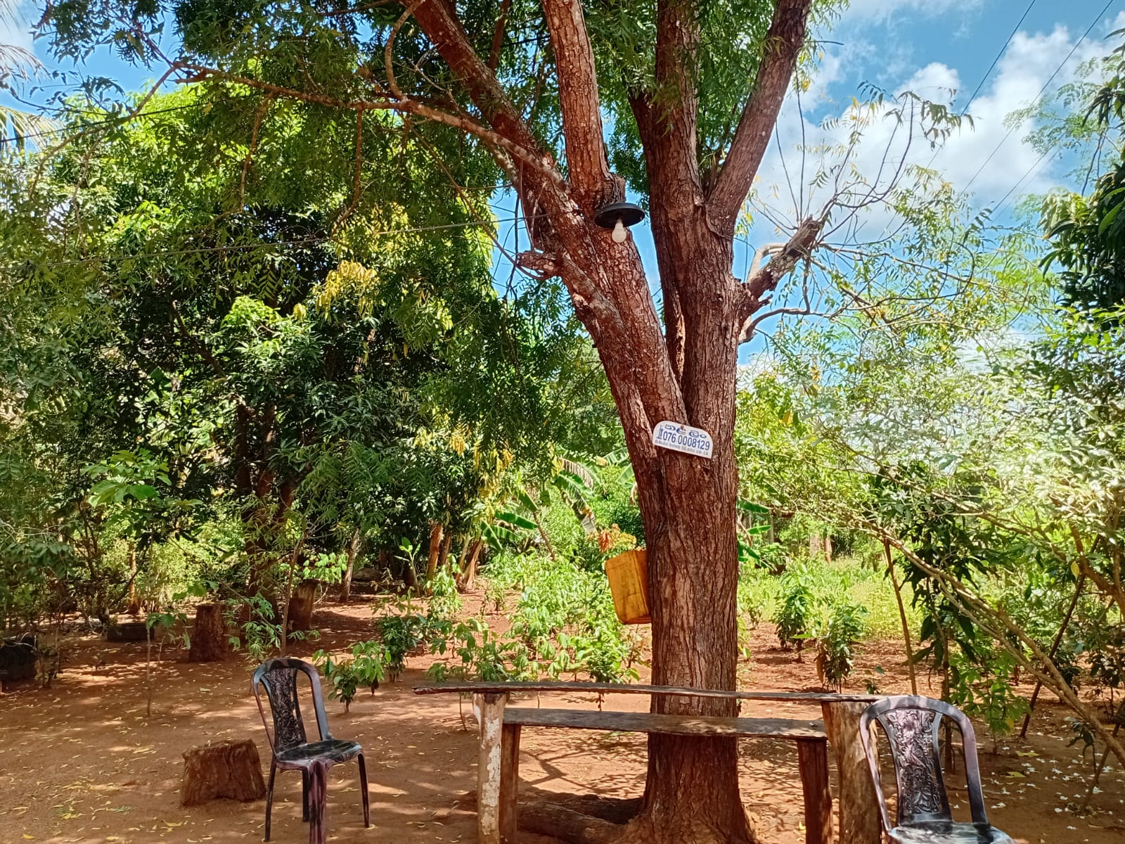 Land with Shop for Sale Dambulla