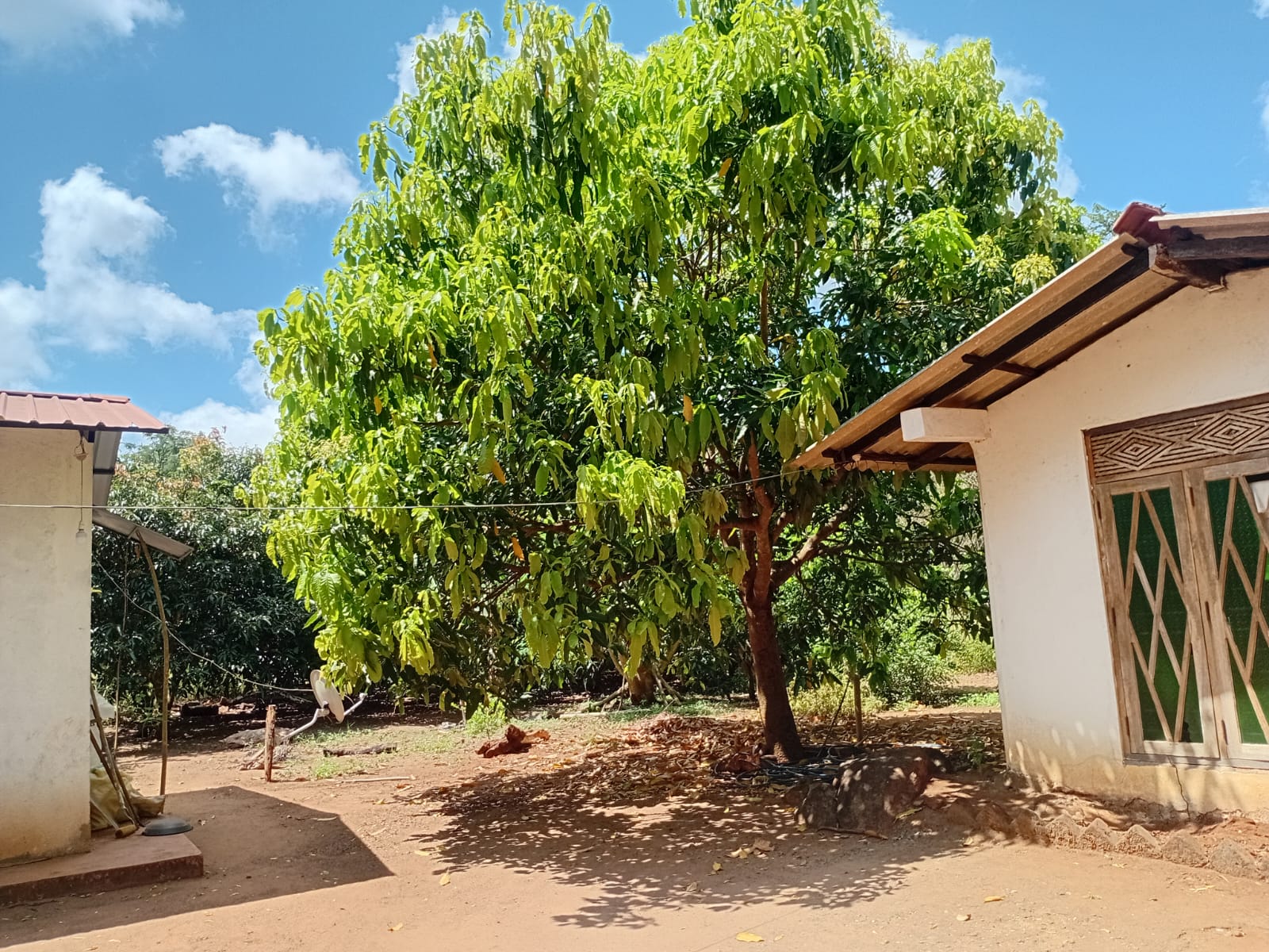 Land with Shop for Sale Dambulla