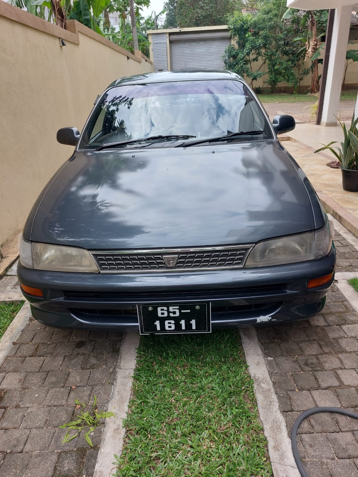 Toyota Corolla 1993