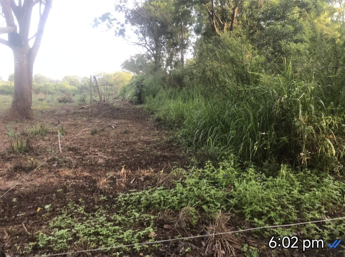 අක්කර 2ක වගා ඉඩම විකීනීමට තණමල්විල