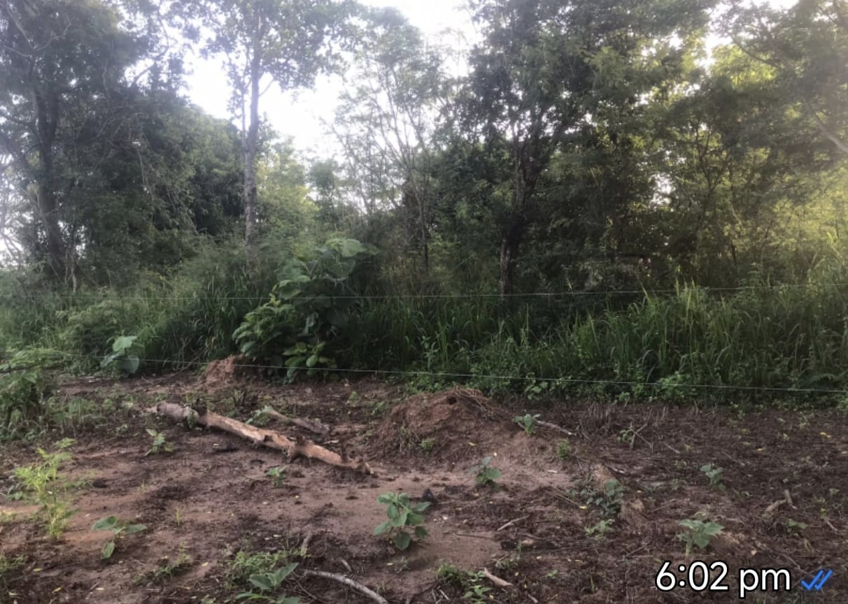 අක්කර 2ක වගා ඉඩම විකීනීමට තණමල්විල