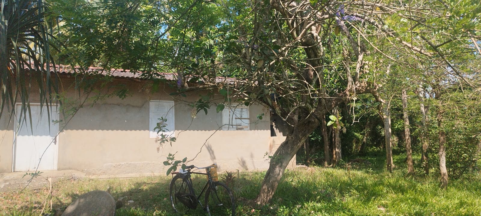 Land with House for Sale – Artigala