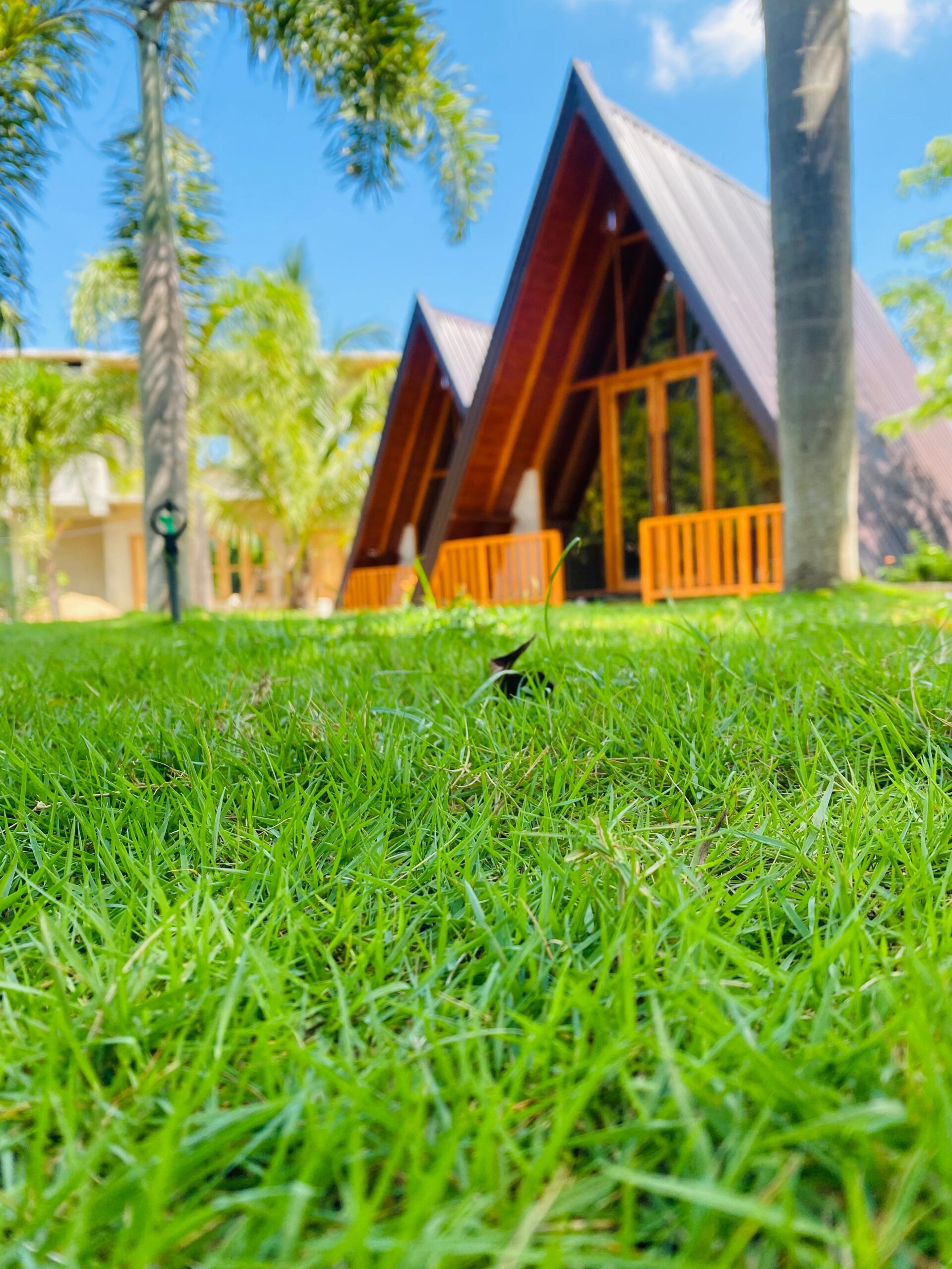 Hotel for Sale Katharagama