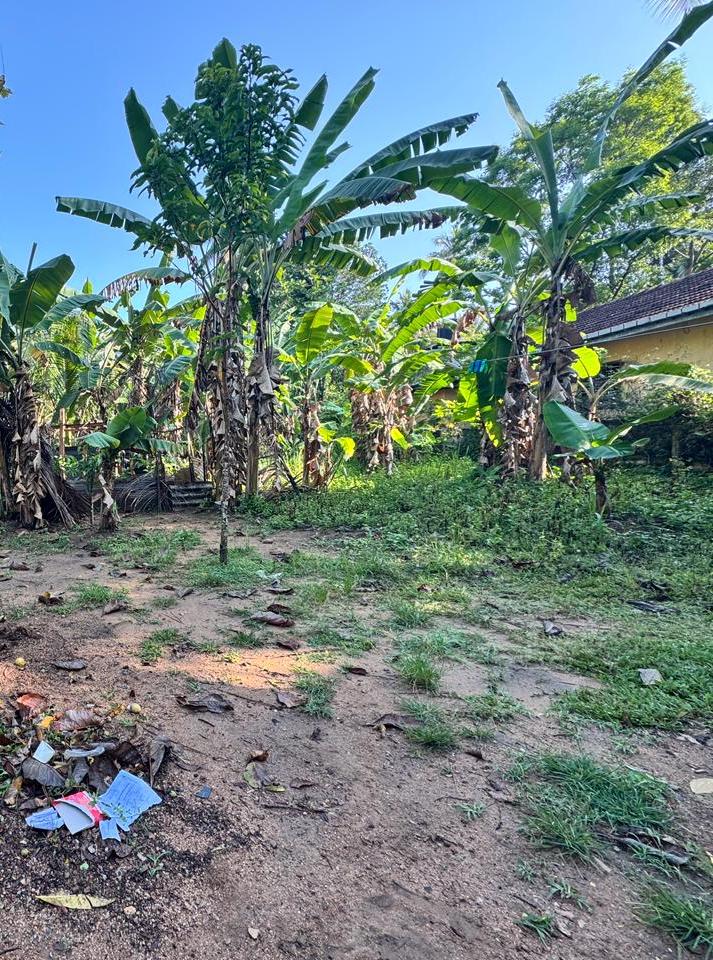 Land for Sale – Doranagoda