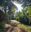 Land for Sale – Doranagoda