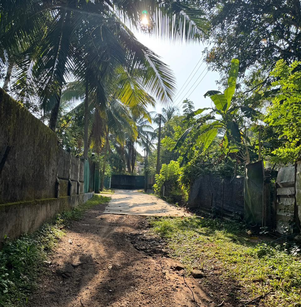 Land for Sale – Doranagoda