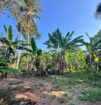 Land for Sale – Doranagoda