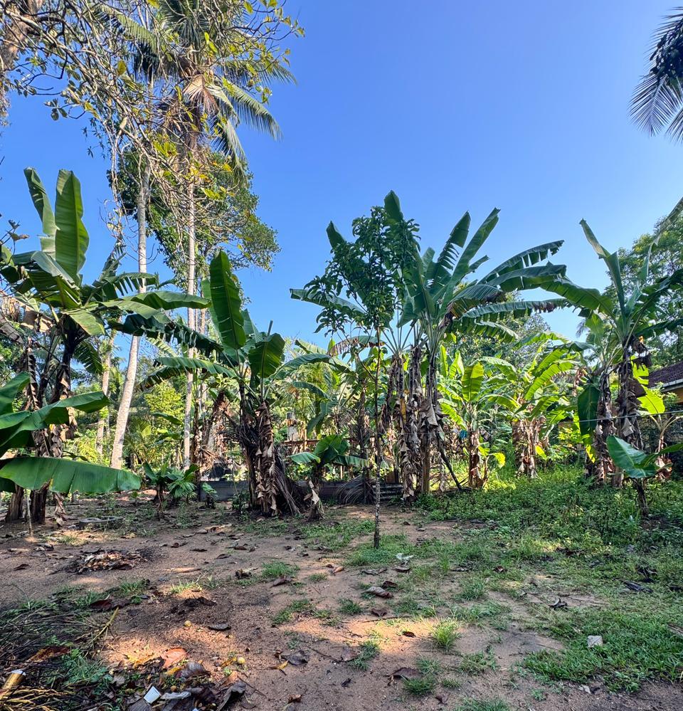 Land for Sale – Doranagoda