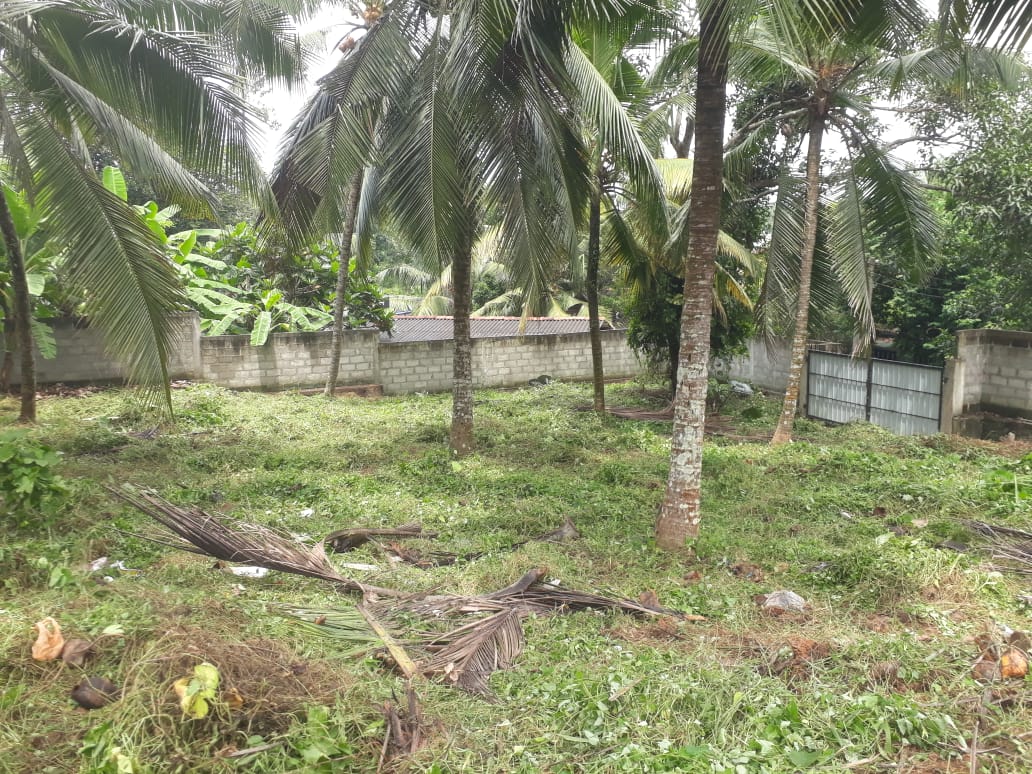 Land for Sale in Kiribathgoda