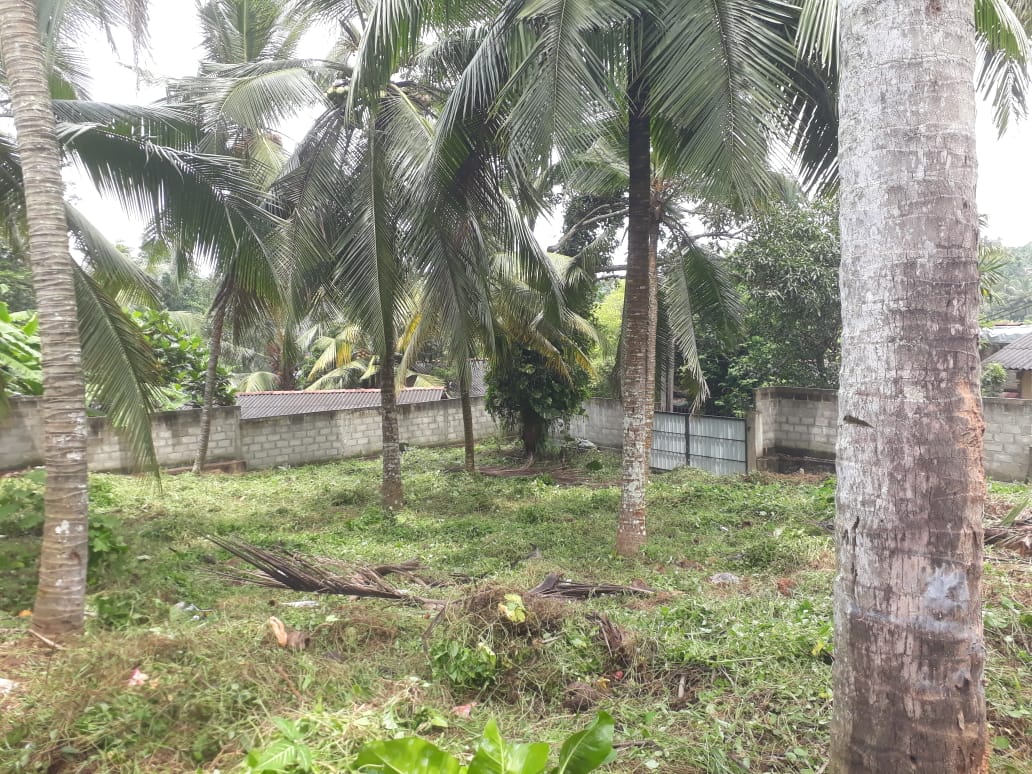 Land for Sale in Kiribathgoda