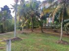 House and Land for Sale Denipitiya
