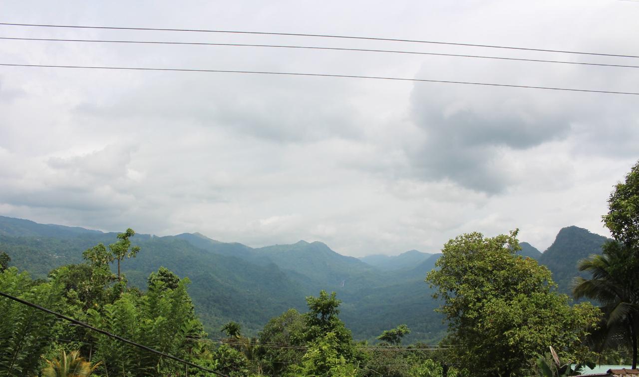 300 Perch Main Road Hill Country Land for Sale Ginigathhena