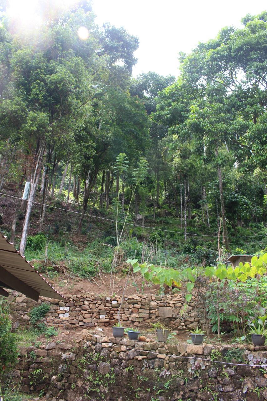 300 Perch Main Road Hill Country Land for Sale Ginigathhena