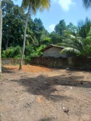 WhatsApp-Image-2026-03-03-at-14.59.21