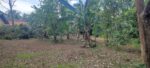 15 Perches Land for Sale in Bopitiya, Giriulla