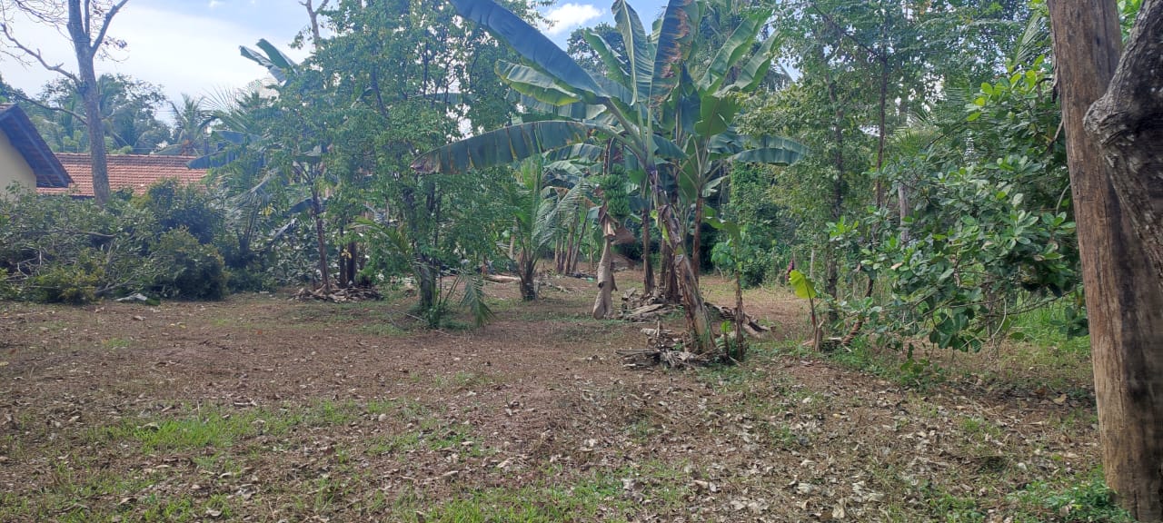 15 Perches Land for Sale in Bopitiya, Giriulla