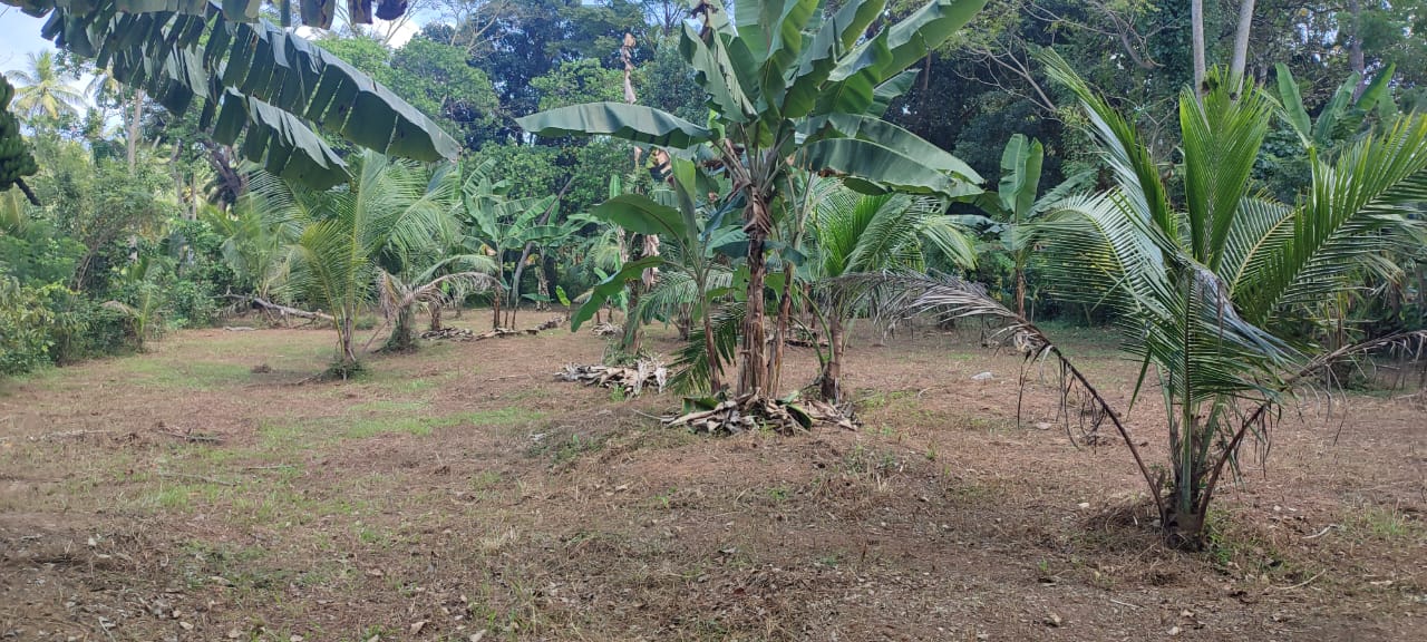 15 Perches Land for Sale in Bopitiya, Giriulla