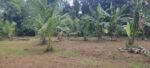 15 Perches Land for Sale in Bopitiya, Giriulla