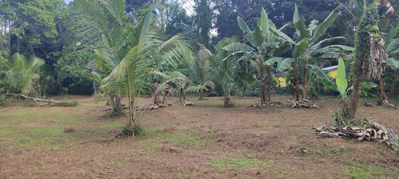 15 Perches Land for Sale in Bopitiya, Giriulla