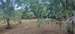15 Perches Land for Sale in Bopitiya, Giriulla