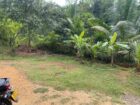 House for Sale Dompe