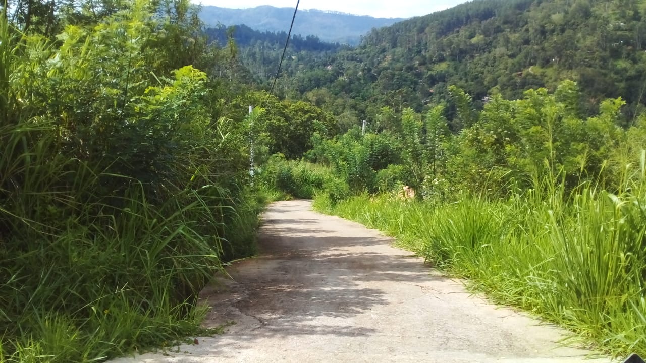 Land sell in Bandarawela