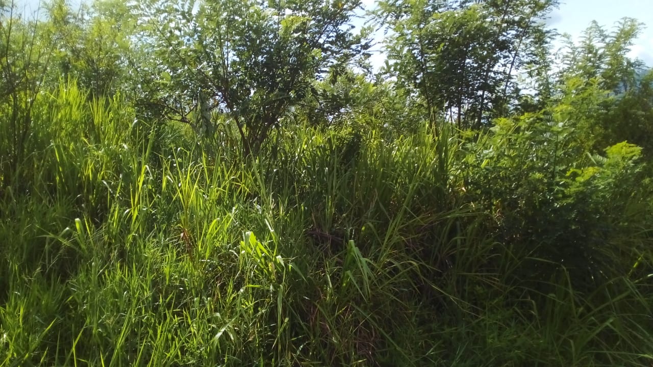 Land sell in Bandarawela