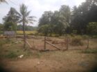 Land For Sale In Pitipana