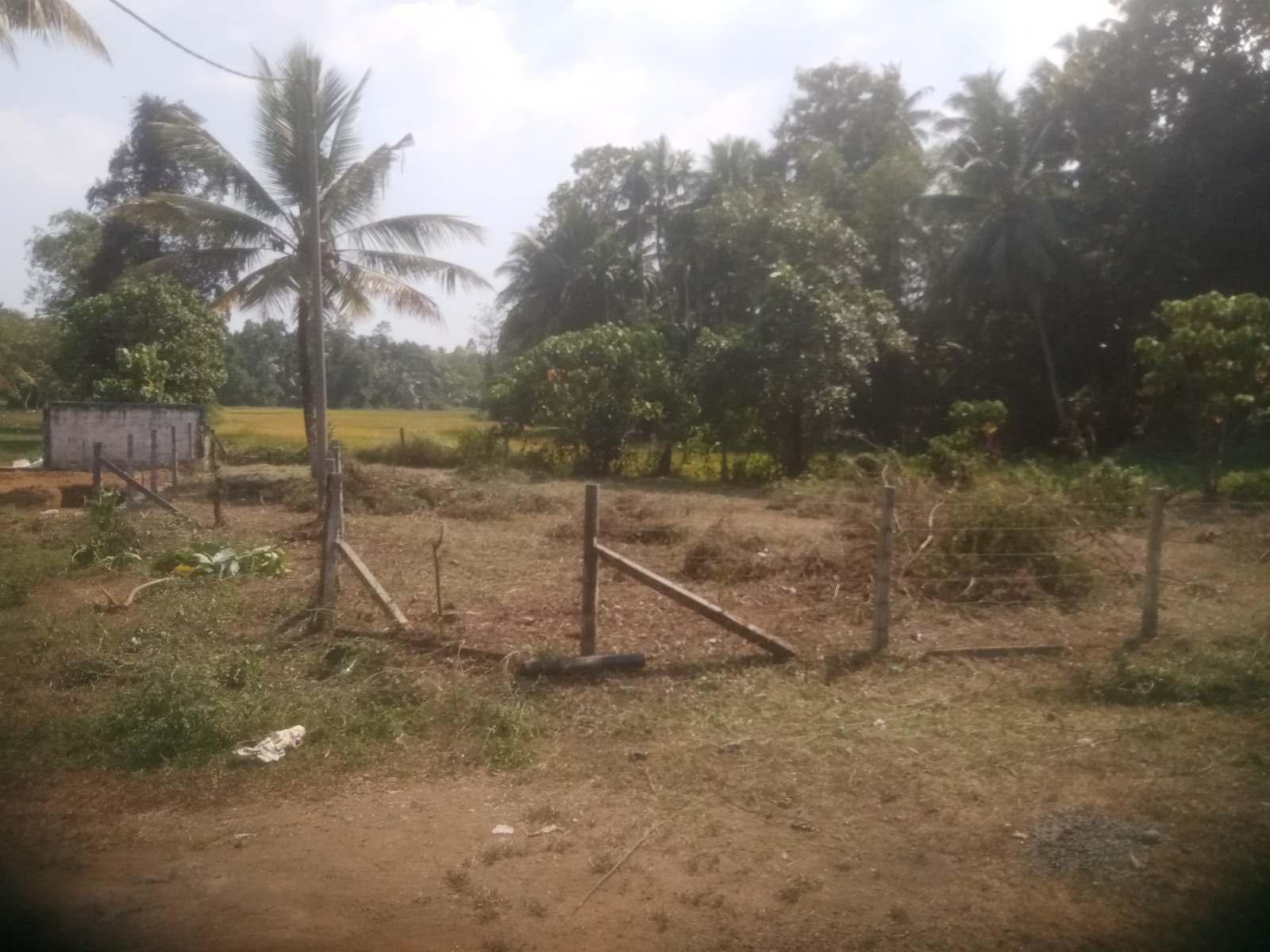 Land For Sale In Pitipana