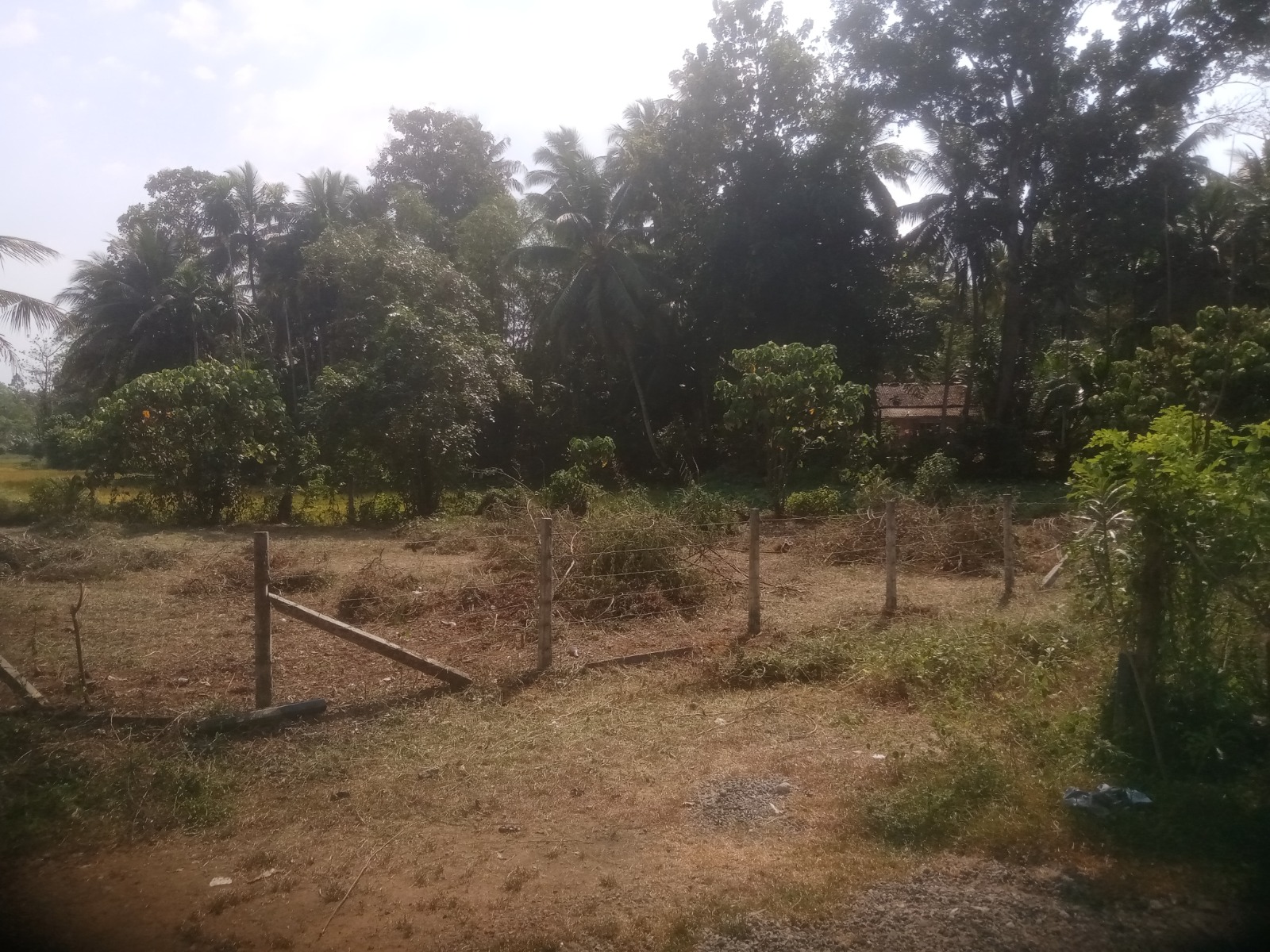 Land For Sale In Pitipana