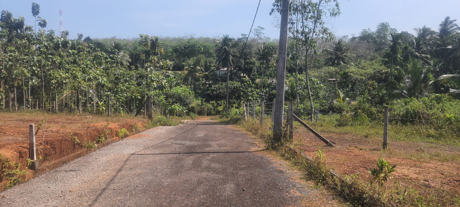 Land for Sale in  Gonapola