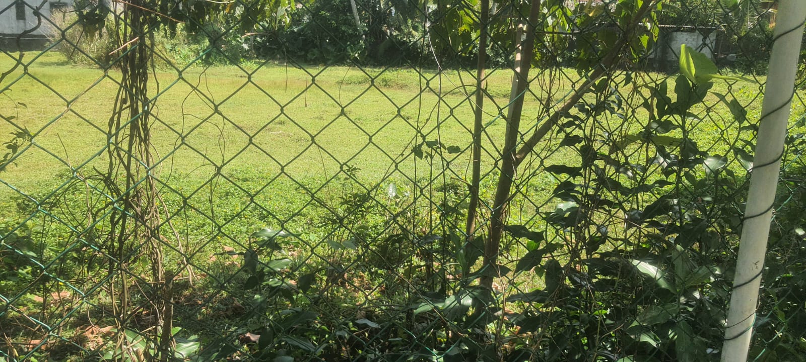 Land for Sale in  Gonapola