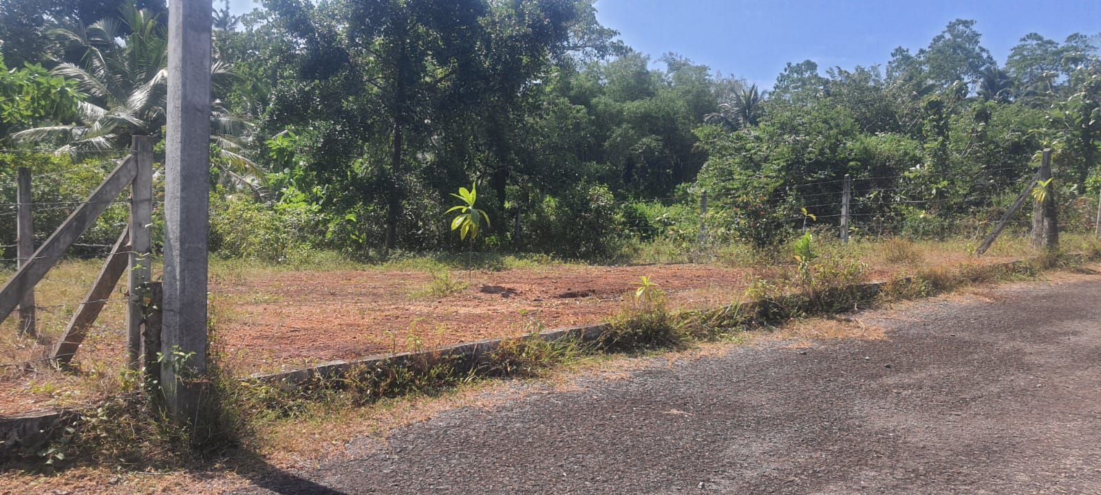 Land for Sale in  Gonapola