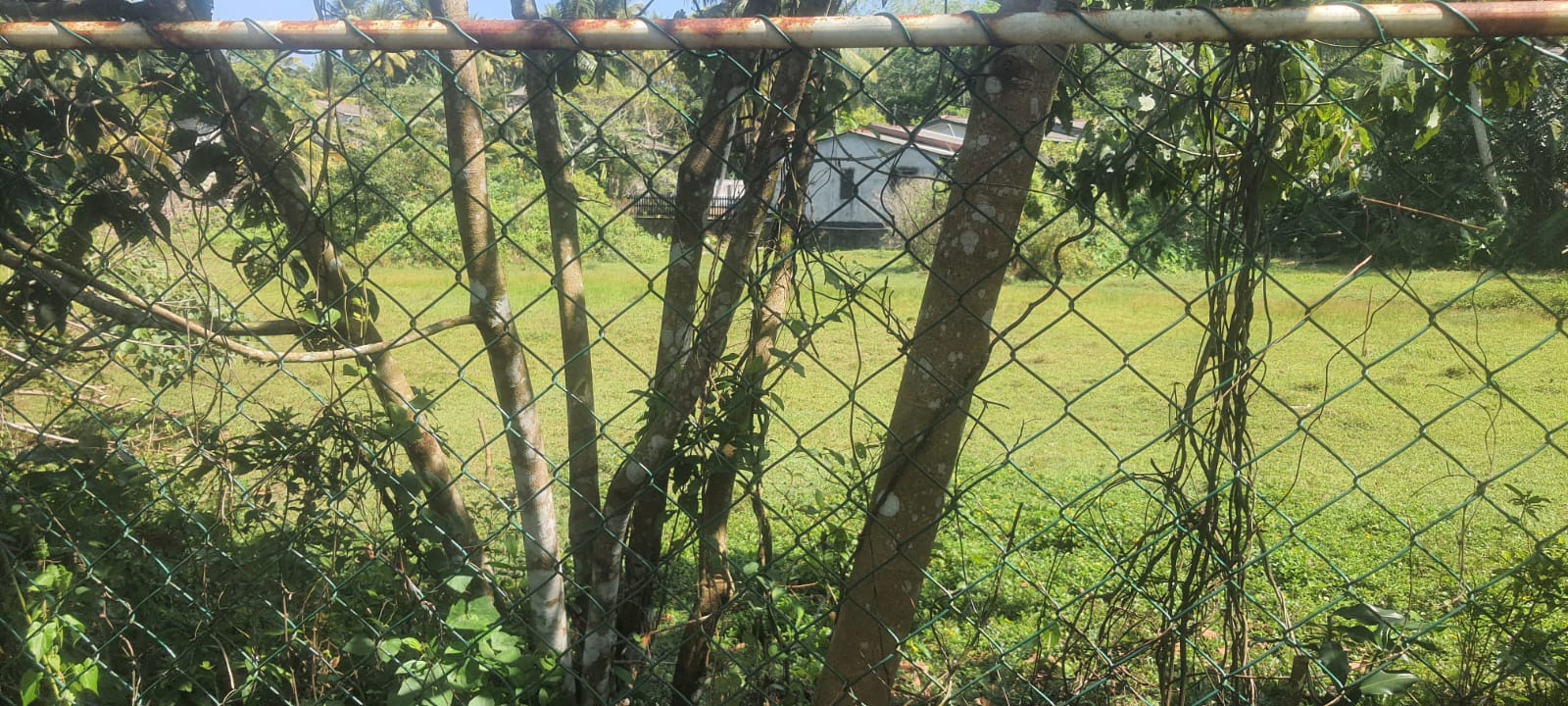 Land for Sale in  Gonapola