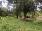 Land for Sale Homagama