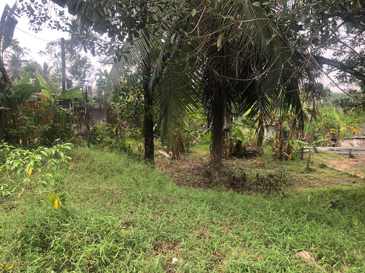 Land for Sale Homagama