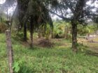 Land for Sale Homagama
