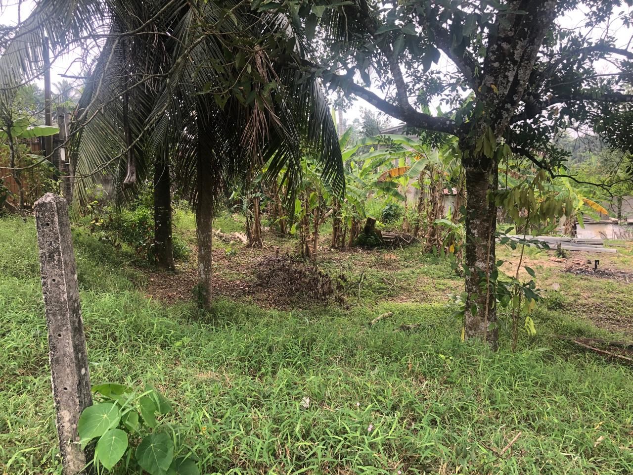 Land for Sale Homagama