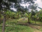 Land for Sale Homagama