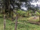 Land for Sale Homagama