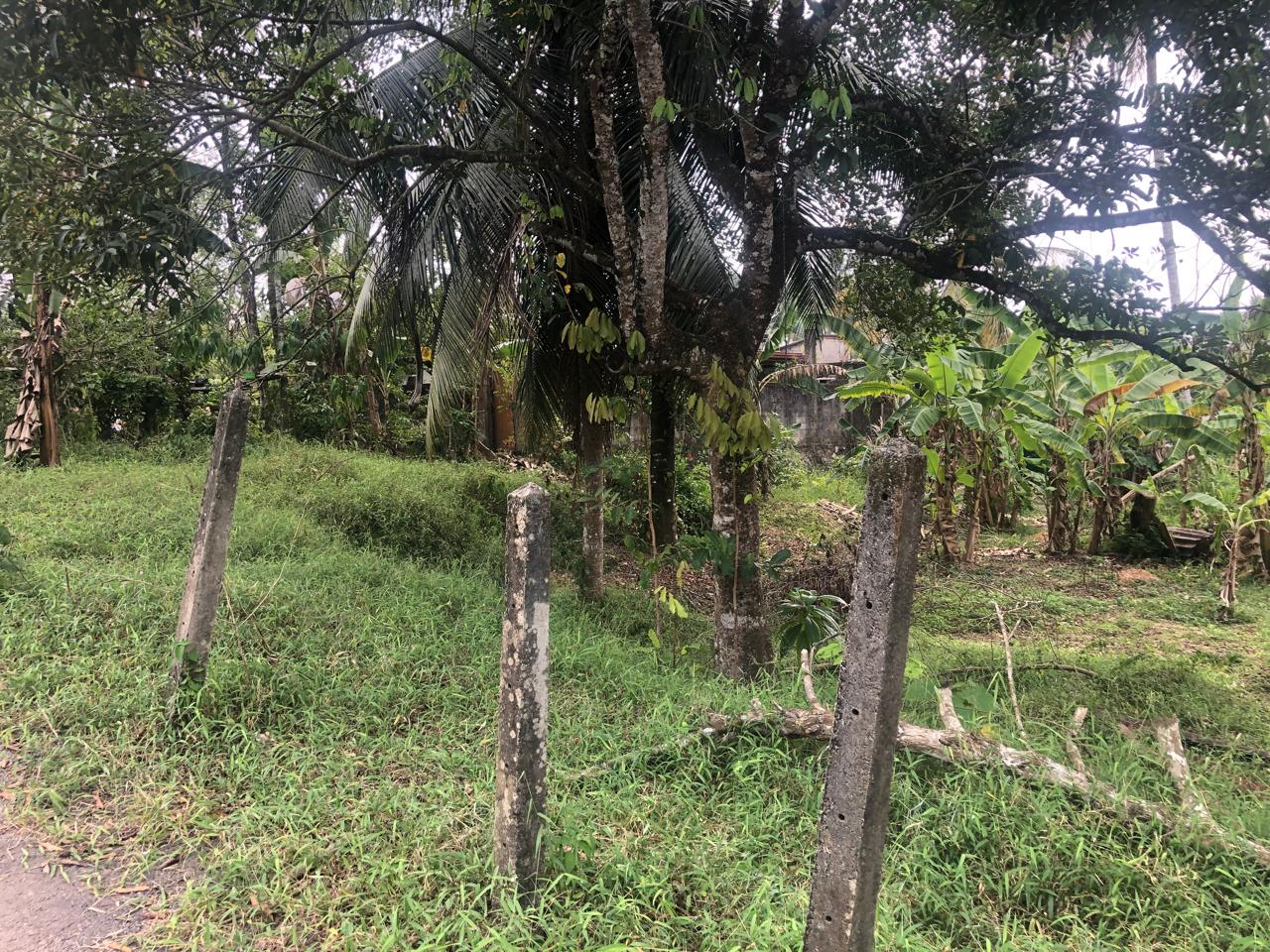 Land for Sale Homagama