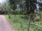 Land for Sale Homagama