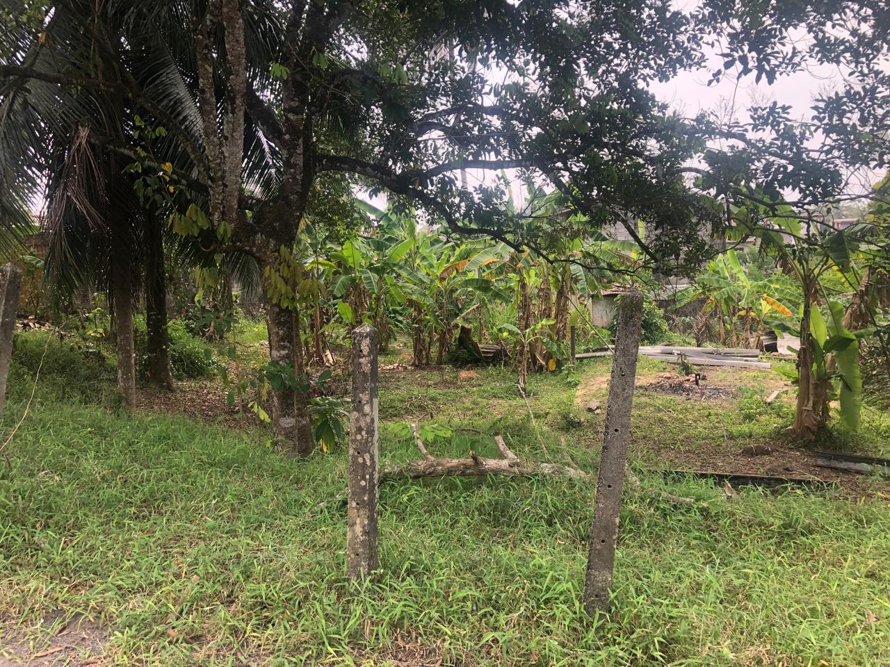 Land for Sale Homagama