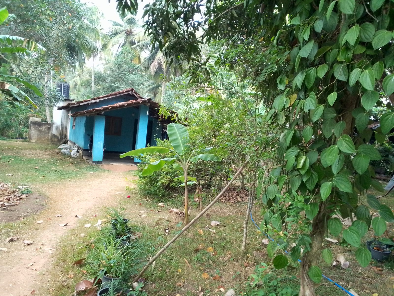 Land for Sale in Udubaddawa, Kurunegala