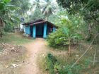 Land for Sale in Udubaddawa, Kurunegala
