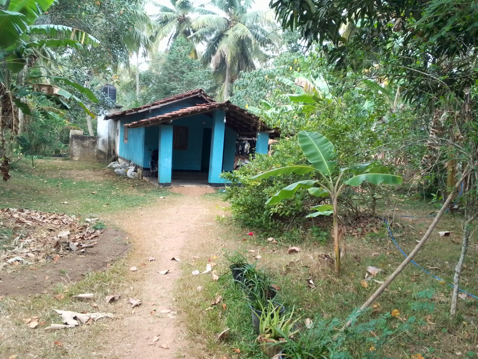 Land for Sale in Udubaddawa, Kurunegala