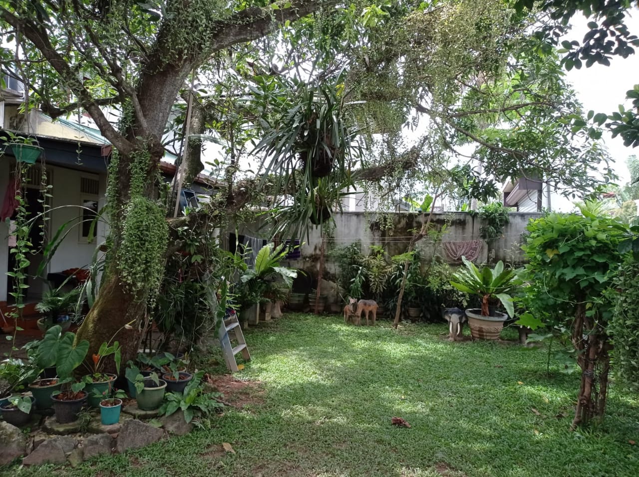 15 Perches Land with House for Sale Battaramulla