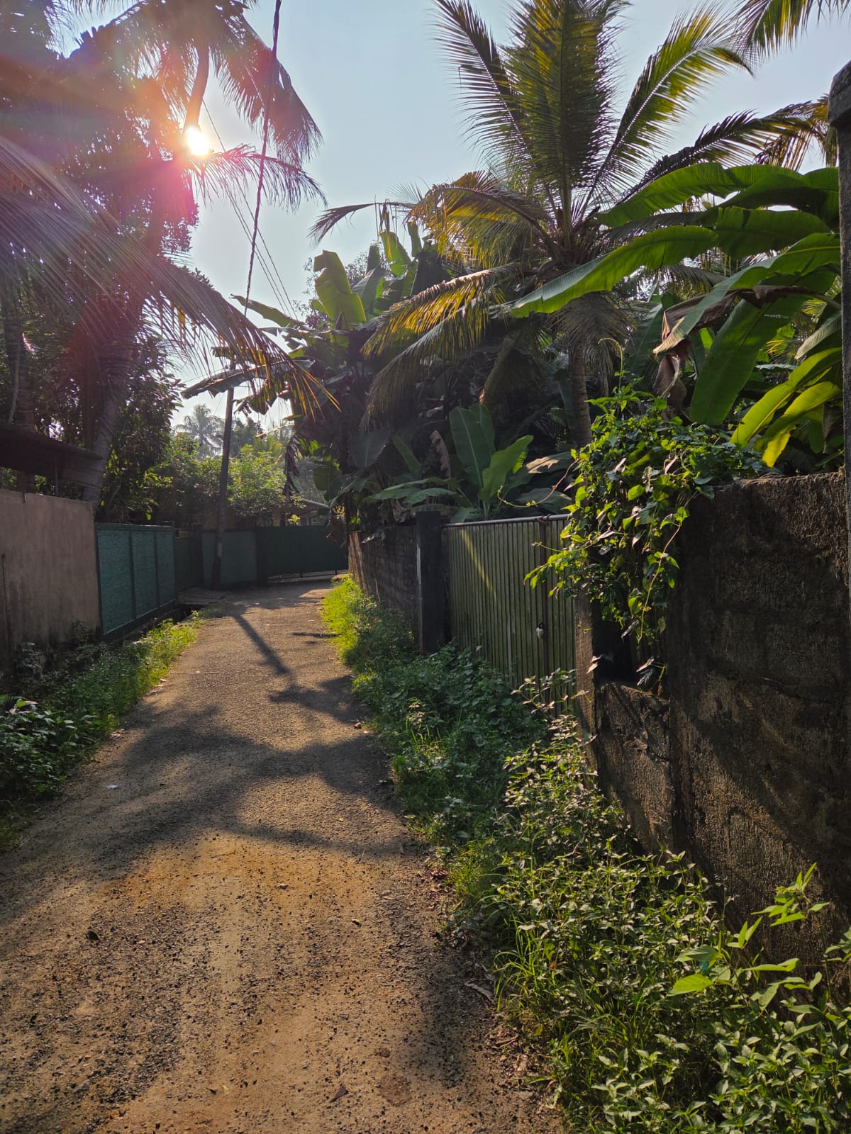 Valuable Land for Sale Matara