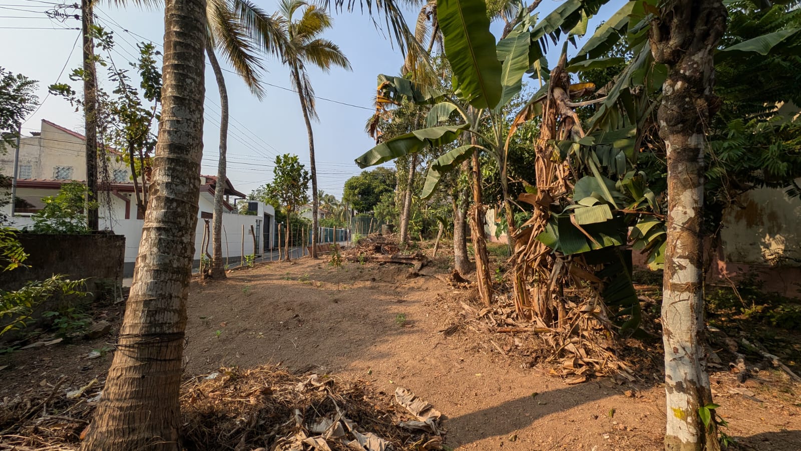 Land for Sale in Kottawa Siddamulla