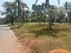 Land for Sale In Veyangoda